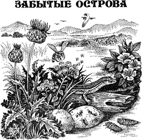 Павел Мариковский - Забытые острова