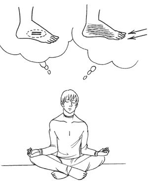 Елена Кутовая - Психология победы. Секреты подготовки олимпийских чемпионов и...