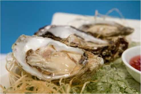 Владимир Бойко - История бухты Голландия в Севастополе