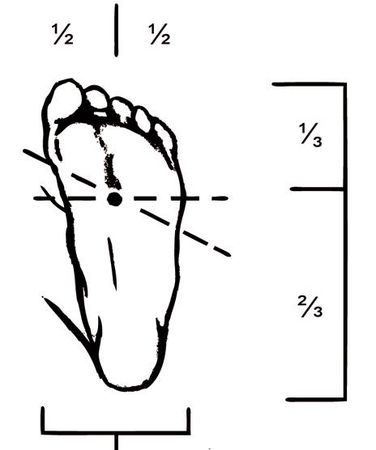 О. Мартин - Энциклопедия массажа