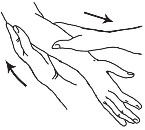 О. Мартин - Энциклопедия массажа