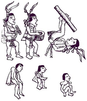 Уорвик Брэй - Ацтеки. Быт, религия, культура