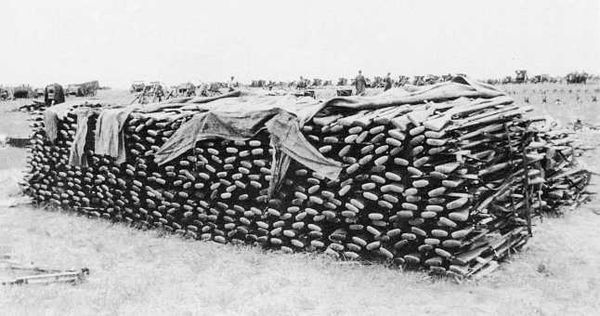 Максим Коломиец - Танки на Халхин-Голе