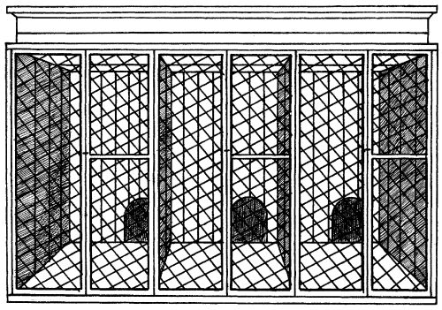 Светлана Ермакова - Среднеазиатская овчарка
