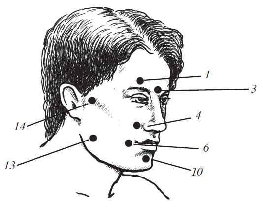 О. Мартин - Энциклопедия массажа