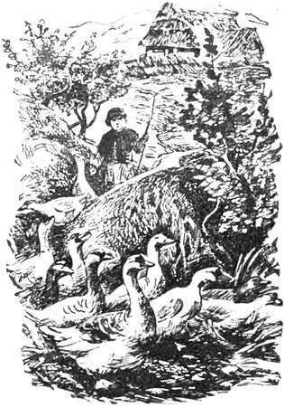 Иван Франко - Рассказы