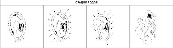 Станислав Гроф - Области человеческого бессознательного: данные исследований ЛСД