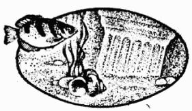 Жак-Ив Кусто, Ив Паккале и др. - В поисках Атлантиды