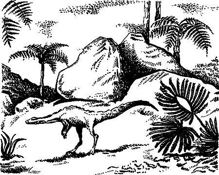 Чарльз Робертс, Эдуард Шторх и др. - Каменный век