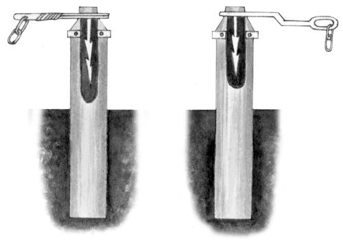 Светлана Ермакова - Среднеазиатская овчарка