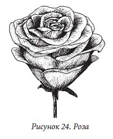 Елена Каминская - Декоративные цветы из бумаги, ткани, кожи, меха, бисера