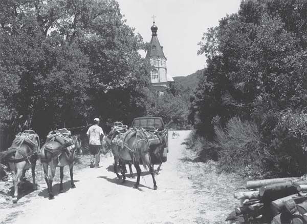 Михаил Талалай - Русский Афон. Путеводитель в исторических очерках