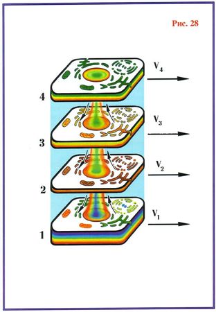 Николай Левашов - Последнее обращение к человечеству