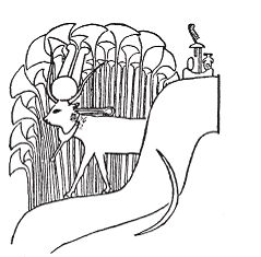 Макс Мюллер - Египетская мифология