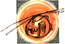 Дмитрий Евдокимов - Ищите нас в космосе