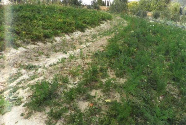 Борис Бублик, Виталий Гридчин - Умный огород круглый год