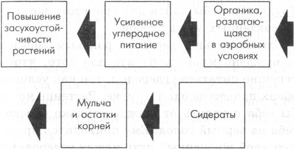 Борис Бублик, Виталий Гридчин - Умный огород круглый год