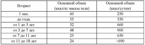 Руслан Омаров, Ольга Сычева - Основы рационального питания
