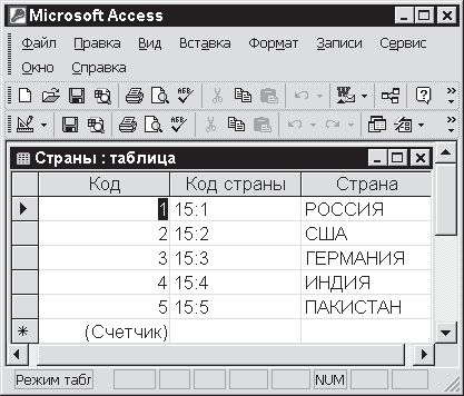 Павел Дубнов - Access 2002: Самоучитель