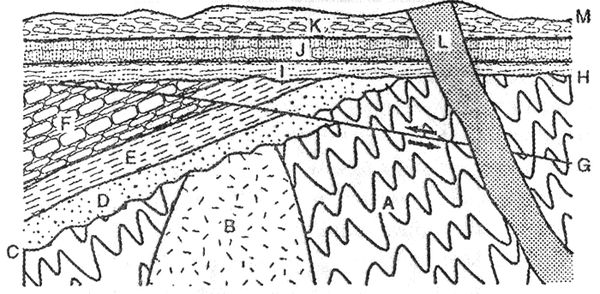 Дж. Д. Макдугалл - Краткая история планеты Земля: горы, животные, огонь и лед