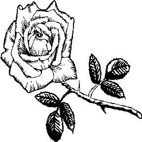 Том Вуджек - Тренировка ума