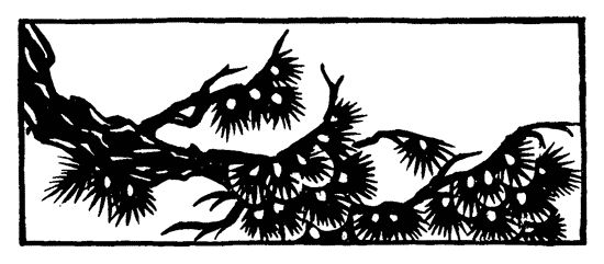 без автора - Проделки Праздного Дракона: Двадцать пять повестей XVI-XVII веков