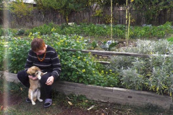 Борис Бублик, Виталий Гридчин - Умный огород круглый год