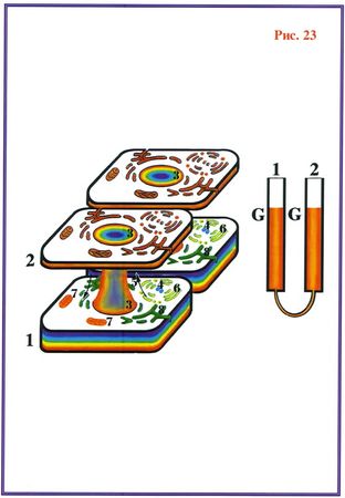 Николай Левашов - Последнее обращение к человечеству