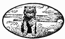 Жак-Ив Кусто, Ив Паккале и др. - В поисках Атлантиды