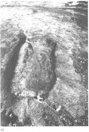 Изабель Хендерсон - Пикты. Таинственные воины древней Шотландии