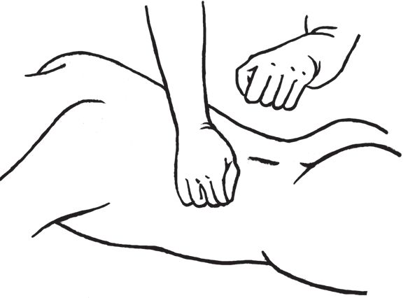 О. Мартин - Энциклопедия массажа