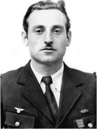 Сергей Дыбов - Подлинная история авиаполка "Нормандия - Неман"