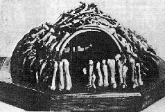 Наталья Гусева - Русский Север - прародина индославов