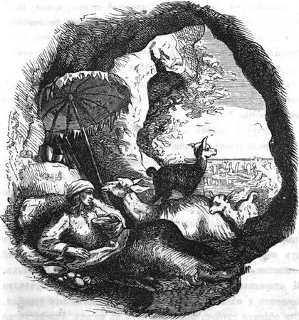 Даниэль Дефо - Жизнь и приключения Робинзона Крузо