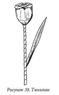 Елена Каминская - Декоративные цветы из бумаги, ткани, кожи, меха, бисера