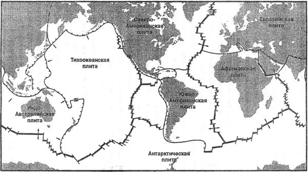 Дж. Д. Макдугалл - Краткая история планеты Земля: горы, животные, огонь и лед