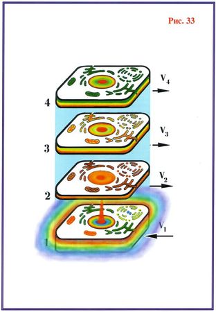 Николай Левашов - Последнее обращение к человечеству