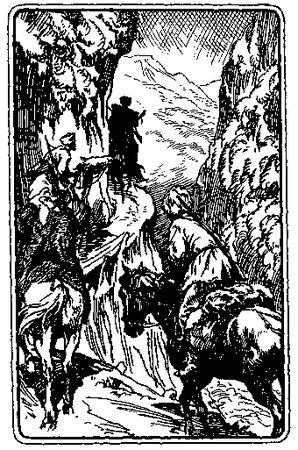 Вячеслав Пальман - По следам дикого зубра