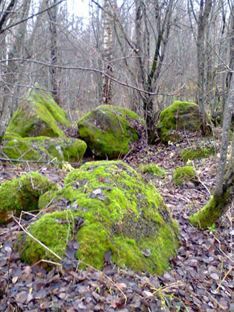 Михаил Смирнов - С рифмой по жизни (сборник)