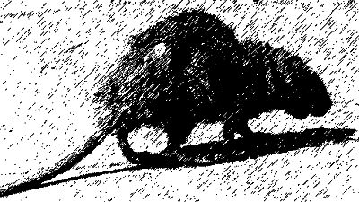 Александр Федотов - Макароны по-флотски (сборник)