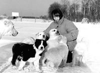 Среднеазиатская овчарка