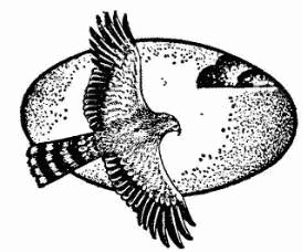 Жак-Ив Кусто, Ив Паккале и др. - В поисках Атлантиды