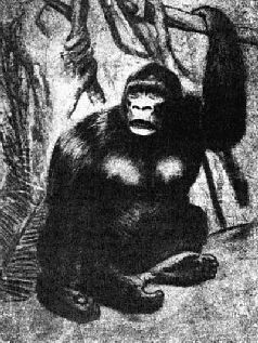 Наталья Гусева - Русский Север - прародина индославов