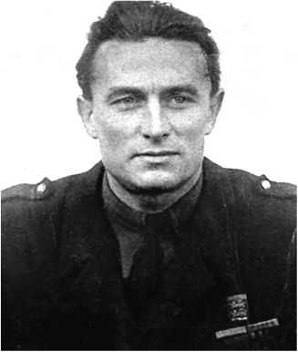 Сергей Дыбов - Подлинная история авиаполка "Нормандия - Неман"