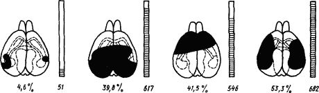 Основы физиологии высшей нервной деятельности