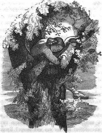 Даниэль Дефо - Жизнь и приключения Робинзона Крузо