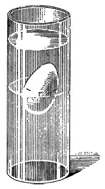 Бруно Донат - Физика в играх