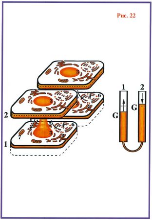 Николай Левашов - Последнее обращение к человечеству