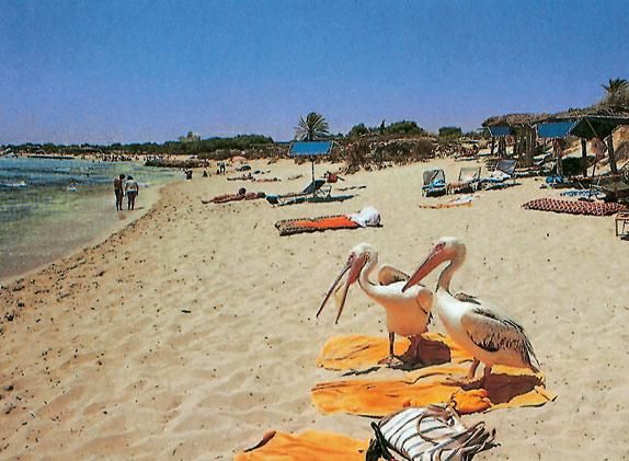 Вальдемар Вайс - Кипр. Путеводитель