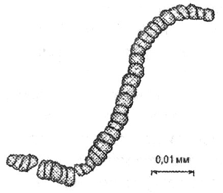 Дж. Д. Макдугалл - Краткая история планеты Земля: горы, животные, огонь и лед